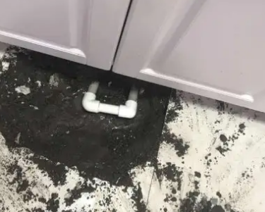 灵台查漏水哪家好